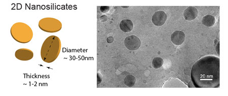 Schematic showing shape and size of 2D nanosilicates. Electron micrograph show actual size of nanosilicates