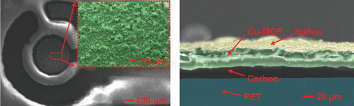 SEM micrographs of Cu-MOF nanoparticles on the surface of an electrode