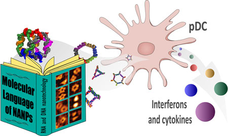 library of programmable nucleic acid nanoparticle's interaction with the immune system