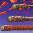 clay-nanotubes