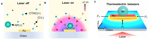 Opto-Thermoelectric Trapping of Single Particles on Single Nanoantennas