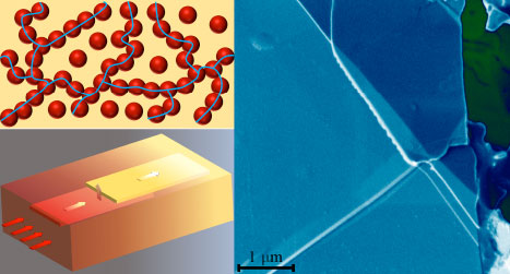 Thermal Properties of Composites with High Loading of Graphene and Boron Nitride Fillers