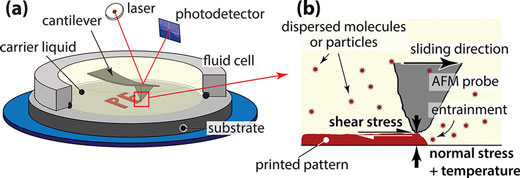 schematic of the Nanotribological Printing process on a substrate, using an AFM microcantilever submerged in an ink-containing fluid carrier in the fluid cell