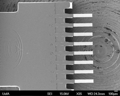 Scanning electron microscopy image of the eight-microcantilever array