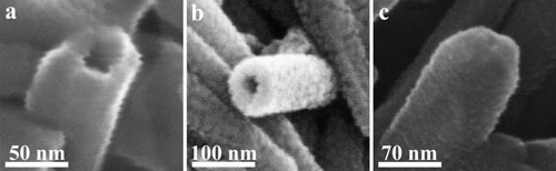halloysite nanotubes pristine and as nanoformulation