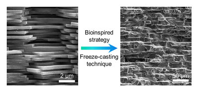 natural nacre and inverse nacre-like epoxy-graphene layered nanocomposites