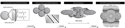 Formation and activation of polymerized liquid metal networks