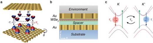 Schematics of modulating valley dynamics in monolayer WSe2 using chiral Purcell effects in moiré chiral metamaterials