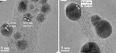 MWCNT and a small SWCNT bundle coated with silver nanocrystals