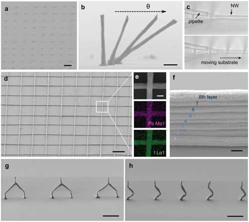 3D-printed perovskite nanowire architectures
