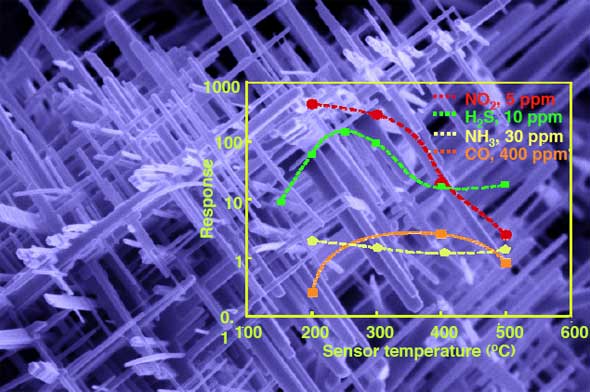 tungsten oxide nanowire network