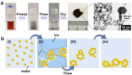 freeze-thaw fabrication of noble metal aerogels