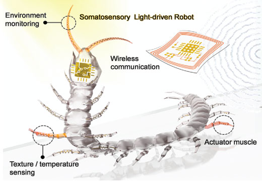 Untethered somatosensory light-driven robotic centipede with directional locomotion and multitude of sensors