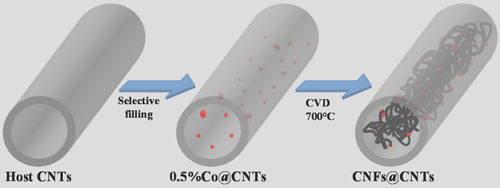 Synthesis route to carbon-nanotube-encapsulated carbon nanofibers