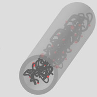 nanofibers_inside_nanotubes