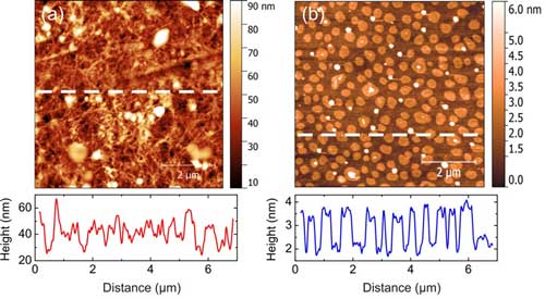 Image shows SWCNT films on PET covered by monolayers of organic molecules crystals