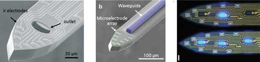 Injectable electronics integrated with optoelectronics and microfluidics for the brain