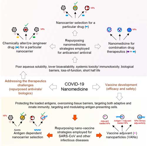 Nanomedicine strategies for COVID-19 therapeutics and vaccine development