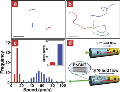 CNT-induced high speed catalytic nanomotors