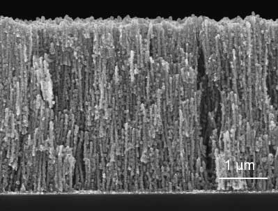 Scanning electron microscopy cross-section image of nanomesh