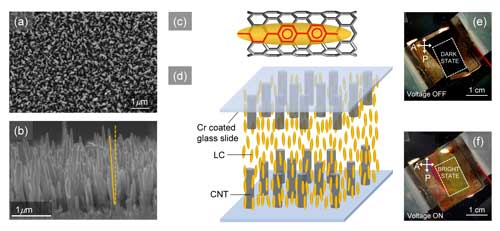 vertically aligned carbon nanotube array