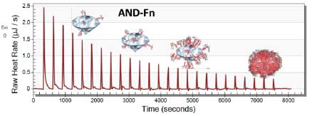 Formation of fibronectin corona on nanodiamond - nano thermal analysis studies