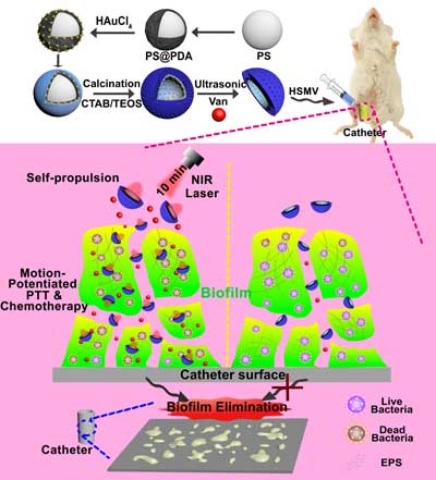 Schematic illustration for synthesis of self-propelled HSMV nanoswimmer and the motion enhanced synergistic antibiofilm therapy upon laser irradiation