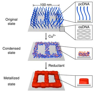 on-origami DNA condensation and metallization of a digit 8 pattern