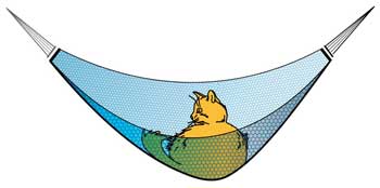 Illustration cat hammock