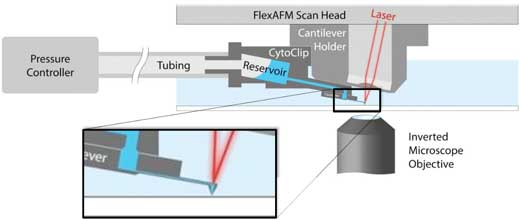 Schematic of AFM with FluidFM