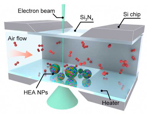 Schematic of the in situ gas-cell (S)TEM device to study the oxidation of high-entropy alloy nanoparticles