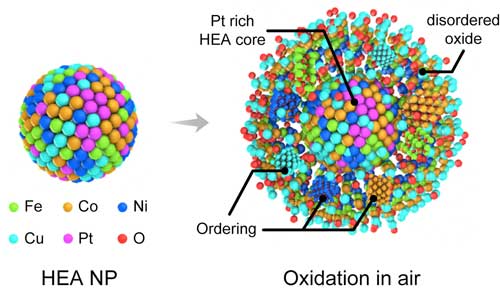 Schematic illustration of the oxidation process of HEA nanoparticles