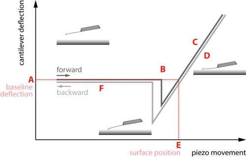 A standard force curve