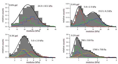 Elastic modulus distribution of four hydrogels with different concentrations of gelatine