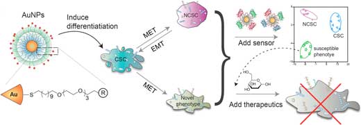 Schematic illustration of the integration of nanoparticle design and hypothesis-free sensing