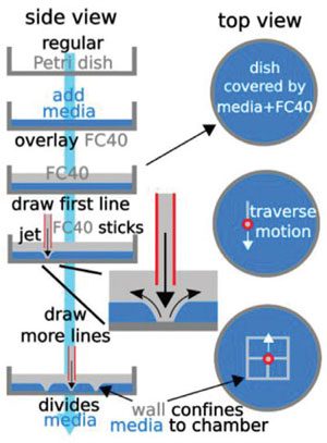 Jet-Printing Microfluidic Devices