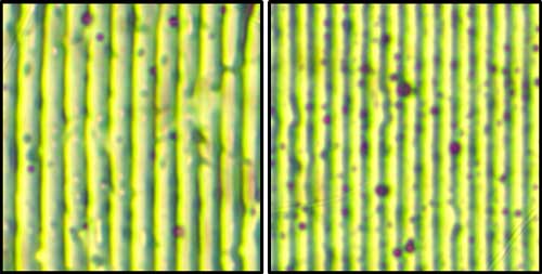Periodic gratings produced at two different tilt angles on corn syrup thin films observed under the optical microscope