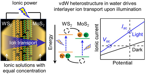 Transition metal dichalcogenide based van der Waals multilayer heterostructures are used to harvest ionic power from equilibrium electrolyte solutions via a coupled photon-carrier–ion transport mechanism