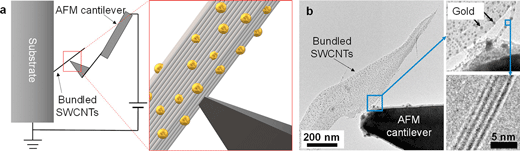 Experimental setup for the in situ observations of thermal transport on a bundle of single-walled carbon nanotubes