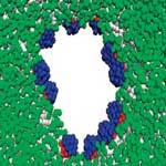 nano_zipper
