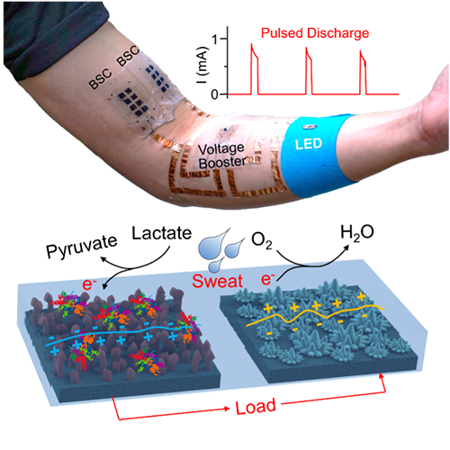 Demonstration of epidermal self-charging biosupercapacitors for powering wearable electronics and the working mechanism of the sweat self-charging biosupercapacitor