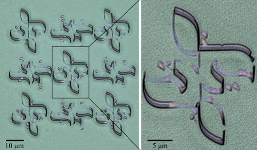 Nano-Calligraphy Scanning Probe Lithography