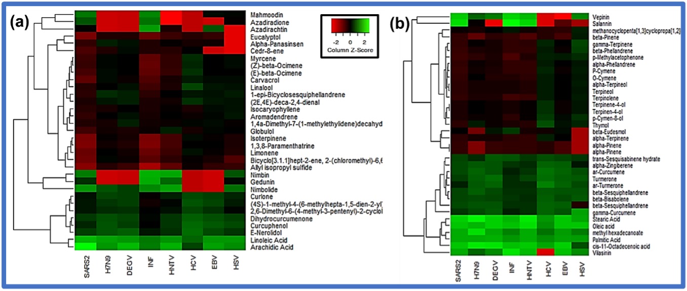 Heat map analysis of major constituent chemicals in the herbal extract-based formulation (A) against airborne viruses