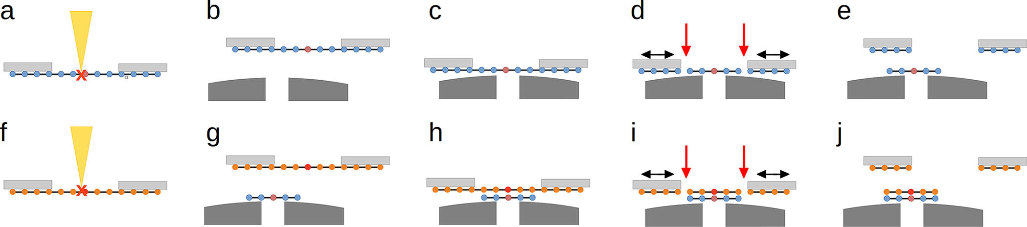 Schematic of the stacking process for 2D van der Waals heterostructures