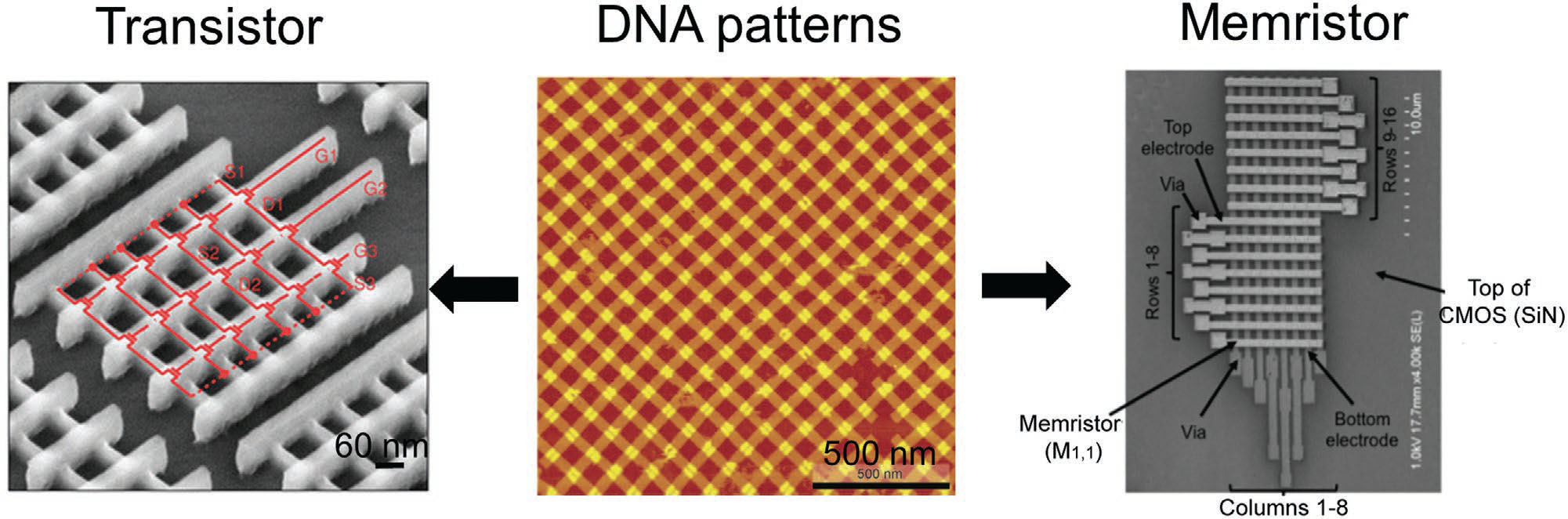 Similarity between nanoelectronics and memristors with DNA nanopatterns