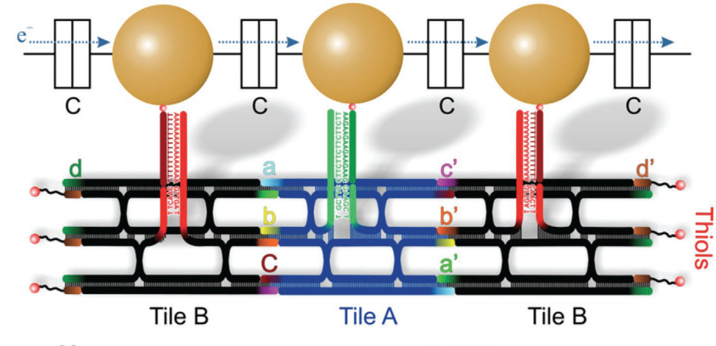 DNA-assisted fabrication of single electron transistors