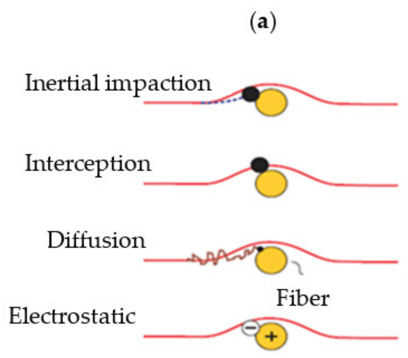 Mechanisms of particle filtration