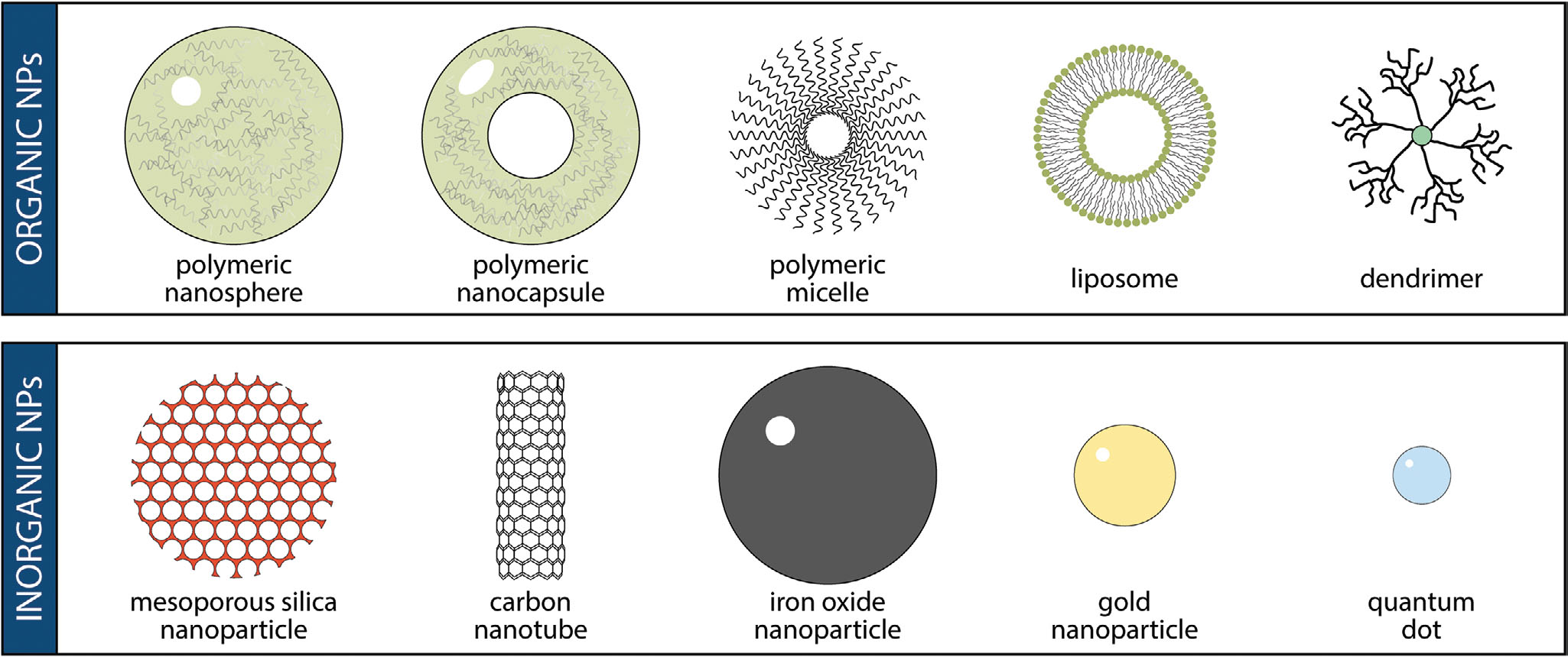 Scheme illustrating various types of organic and inorganic nanoparticles used for vaccine and drug delivery system development