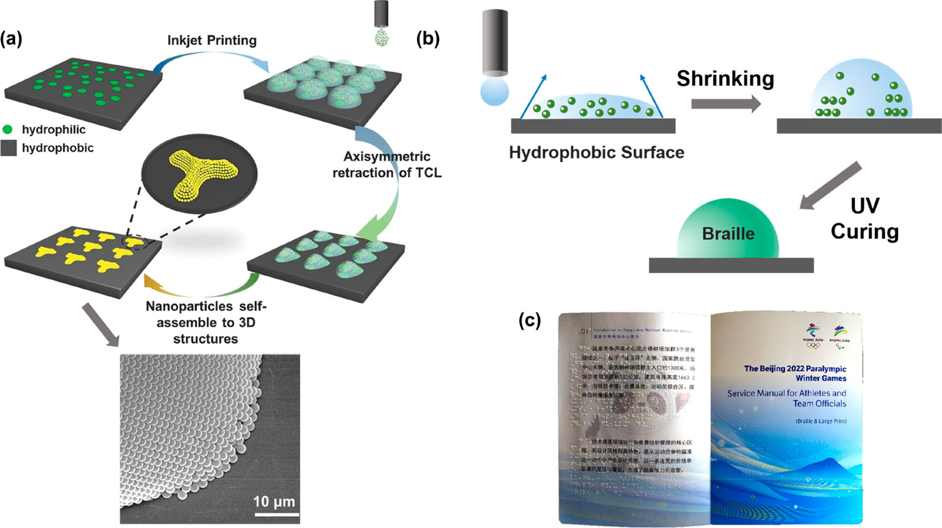 Schematic inkjet printing process of controllable 3D microstructures, and SEM image showing the assembled morphology of nanoparticles in a microdroplet