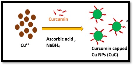 Representación esquemática de la formación de nanopartículas de Cu recubiertas de curcumina